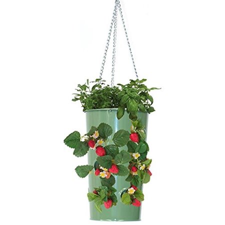 NEXT2NATURE Enameled Galvanized Hanging Strawberry, Floral Planter - AppleGreen NE2588650